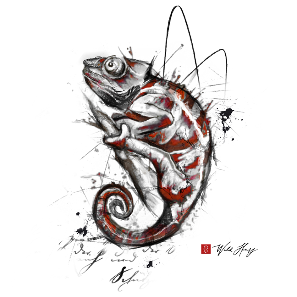 MM TATTOO Pegnitz | Tattoo- und Piercingstudio | SHOP